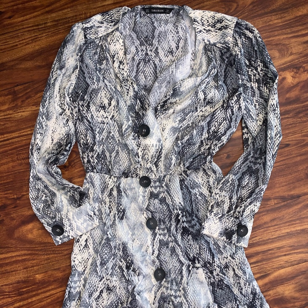 Snake skin dress from Zara
